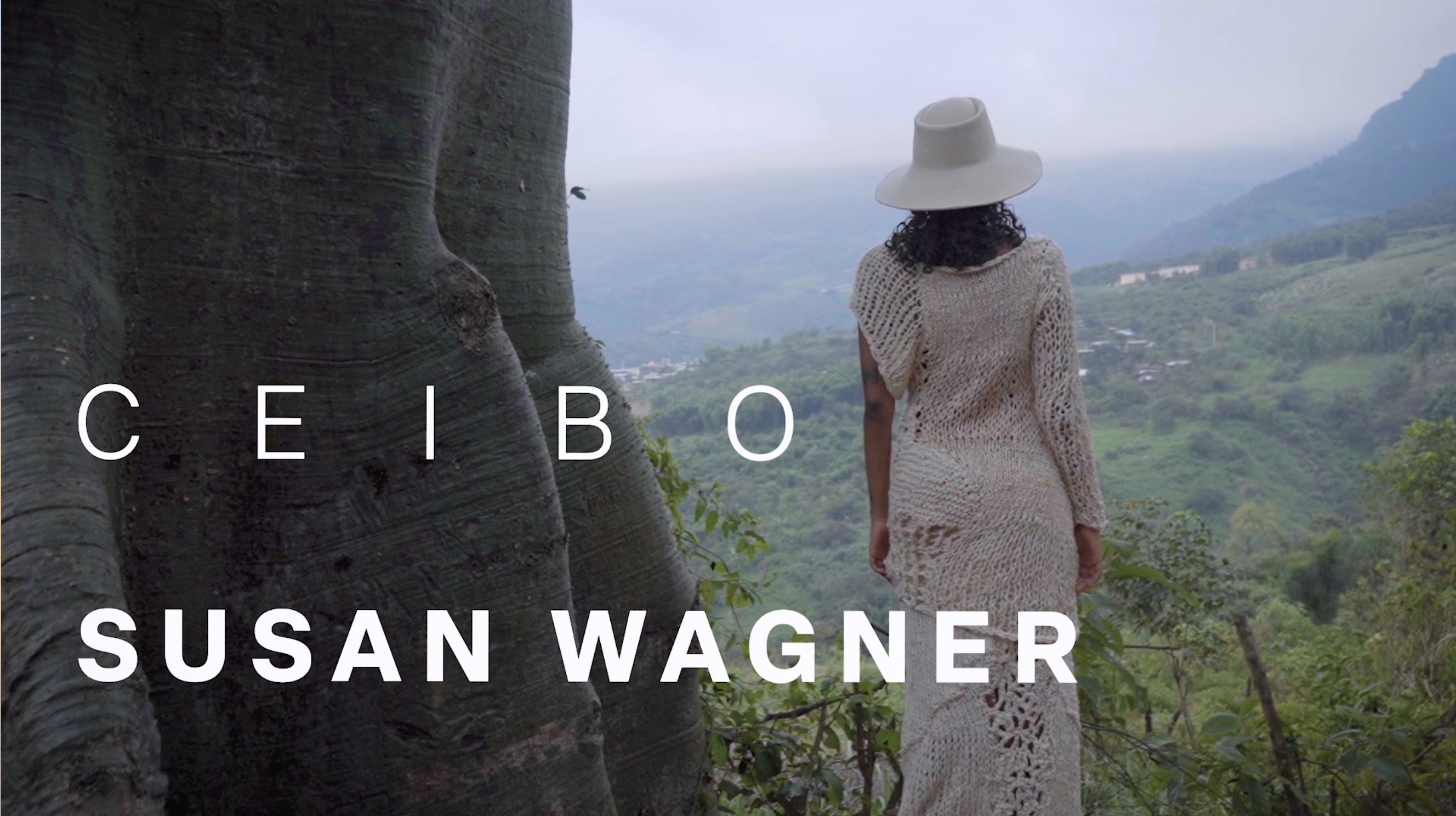 Cargar video: 